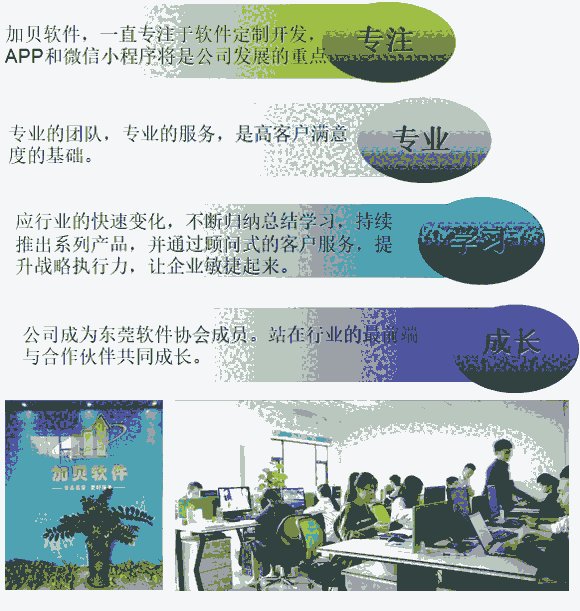 东莞软件开发 从世界工厂到智造高地的数字化跃迁